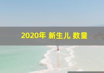 2020年 新生儿 数量